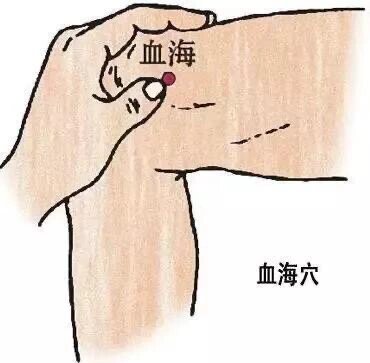 月经不调 崩漏 皮肤病 中医讲人体内有髓海,气海,血海,水谷之海