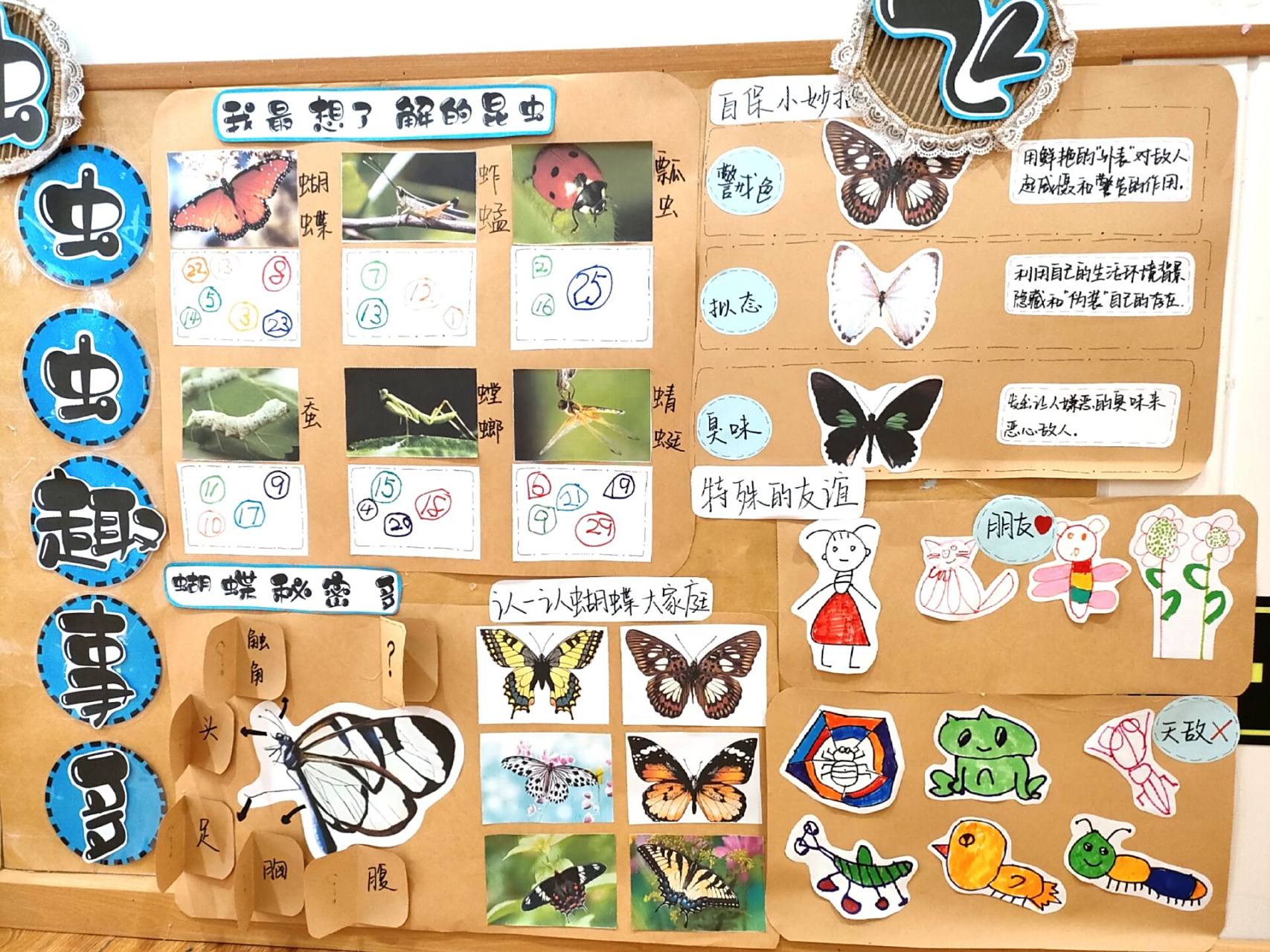 主题墙《虫虫虫虫飞》 中班 主题墙《虫虫虫虫飞》