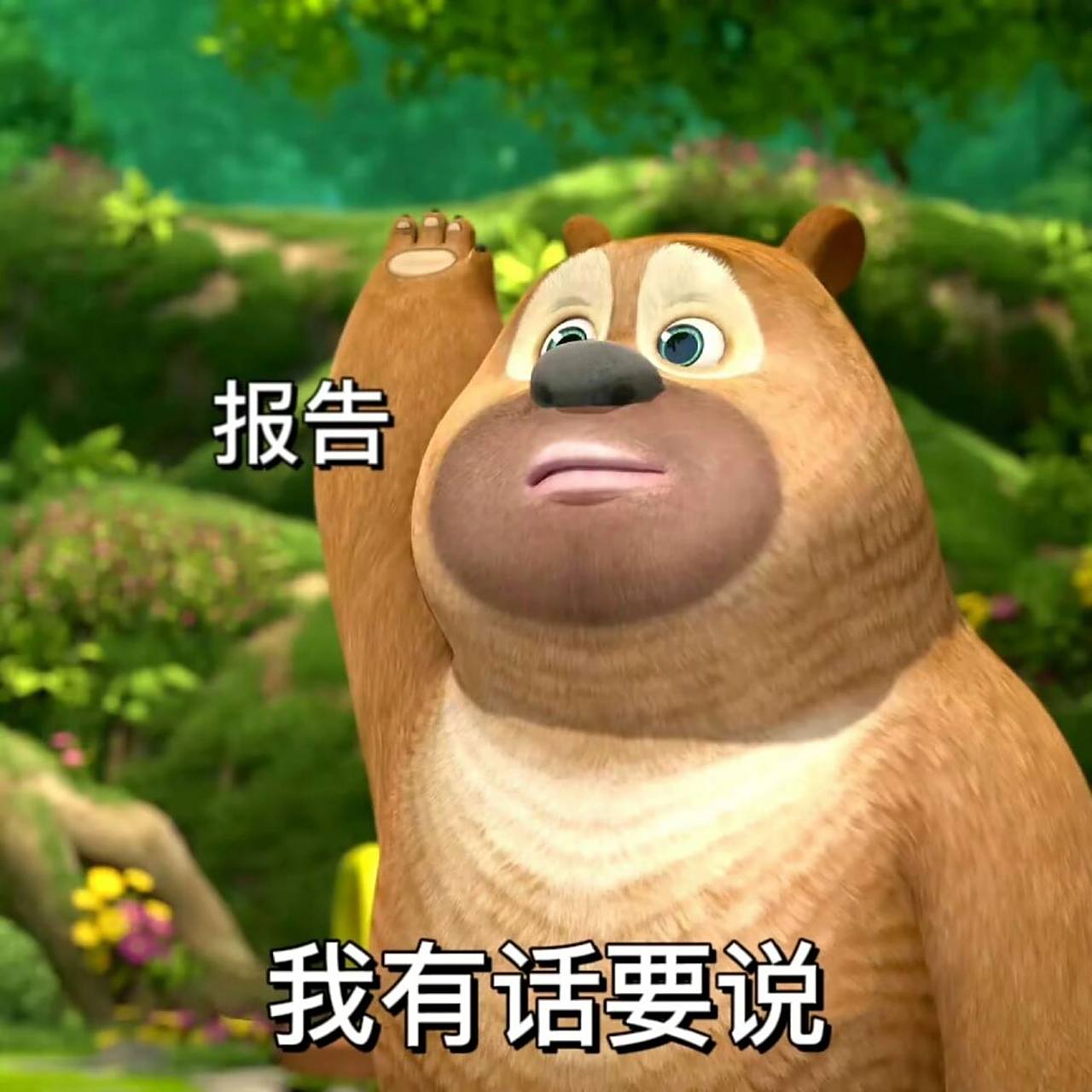 都快占据我表情包半壁江山了 憨憨的样子,好治愈哈哈,没有一个女孩子