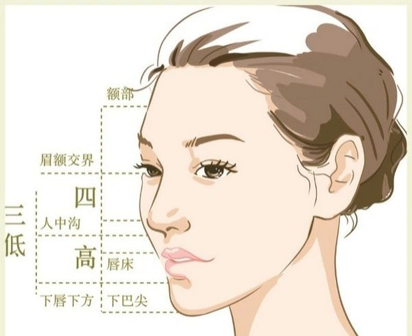 什么是"三庭五眼","四高三低"71 02为什么有的人五官,脸型明明都