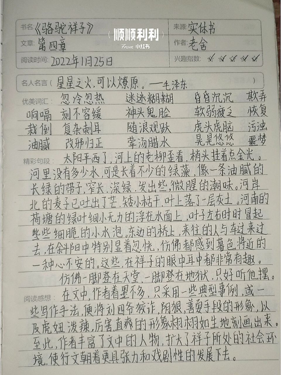 《骆驼祥子》读书笔记  第四章