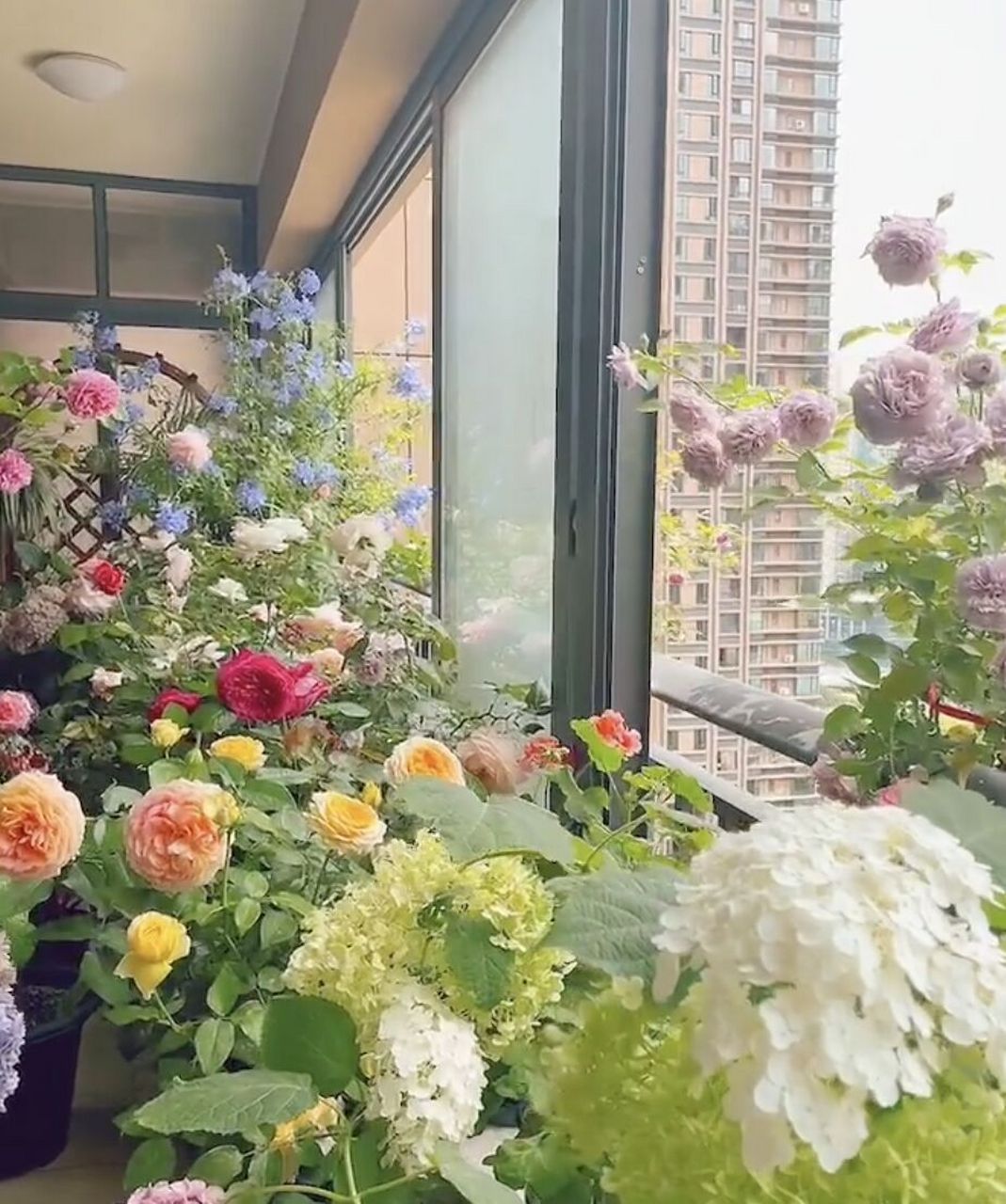 重庆最大的花市:江北宏帆望海花都 重庆最大的花市:江北宏帆望海花都