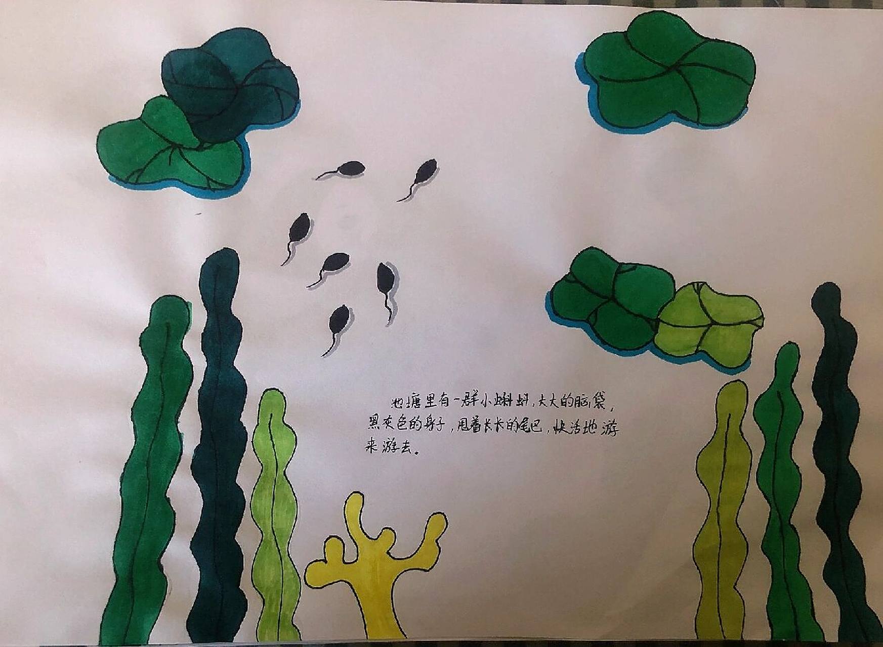 自制绘本《小蝌蚪找妈妈》 有幸临摹 的作品,字写得有点丑
