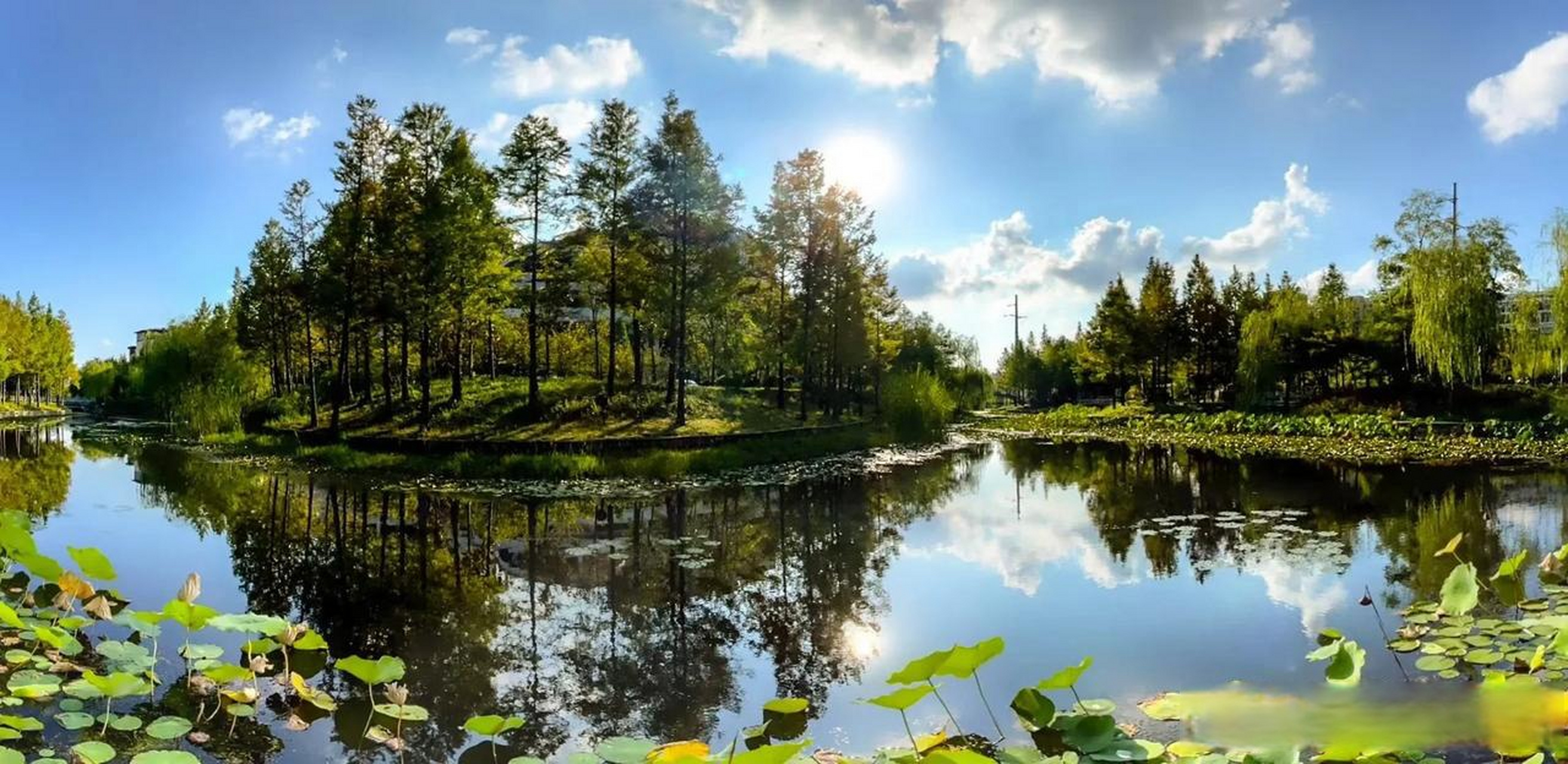 秋日生活打卡季 拍摄这样的风景,蛮有运气.又没有多大的感觉.