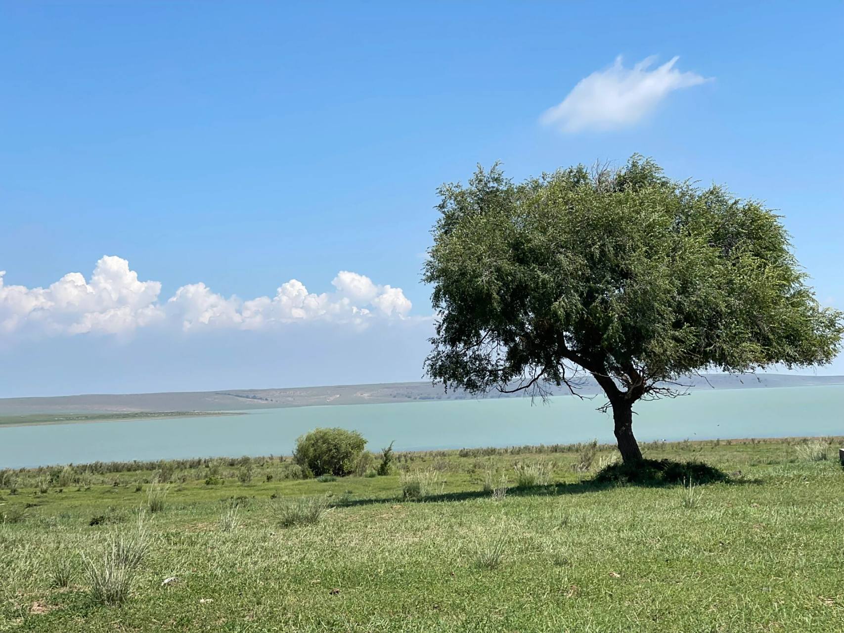克什克腾旗达里湖小众路线 内蒙古克什克腾旗  达里诺尔湖周边数十座