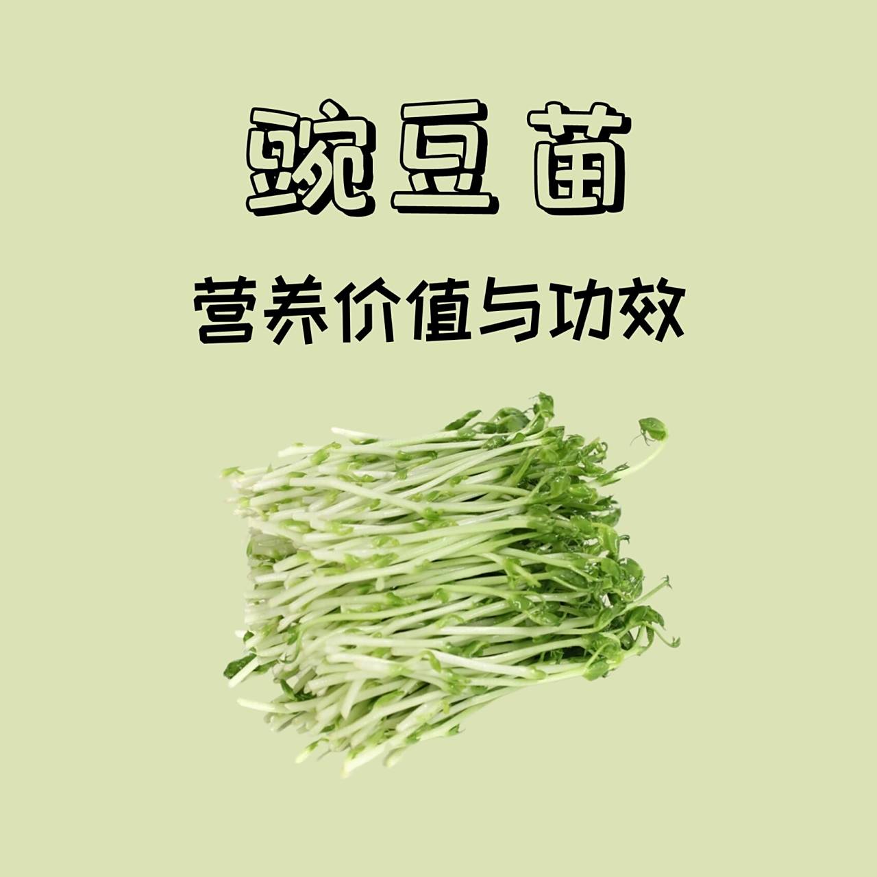 100种蔬菜的营养-豌豆苗1661546615 96豌豆苗是豌豆的嫩茎