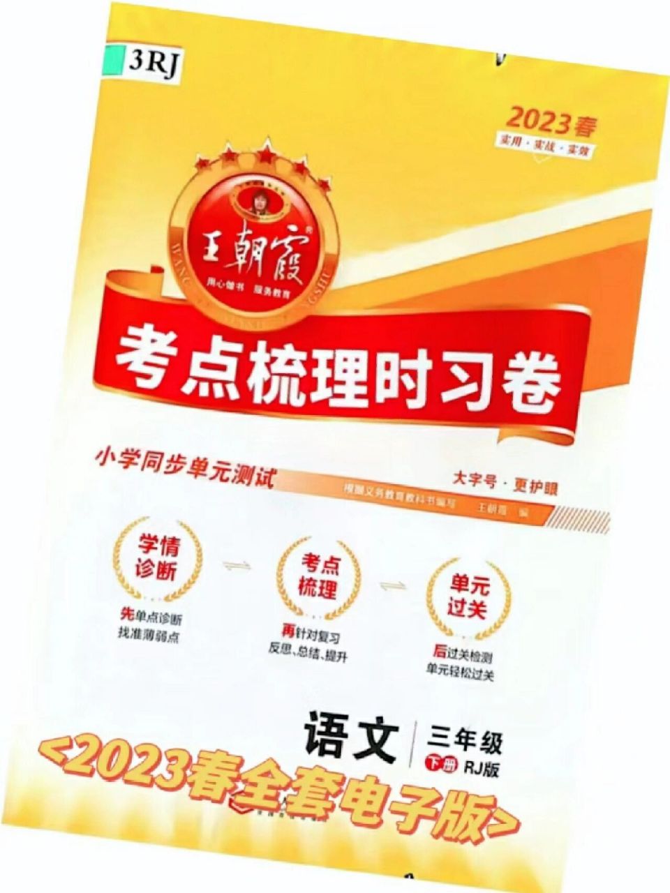 2023春三年级下册语文王朝霞考点梳理时习卷