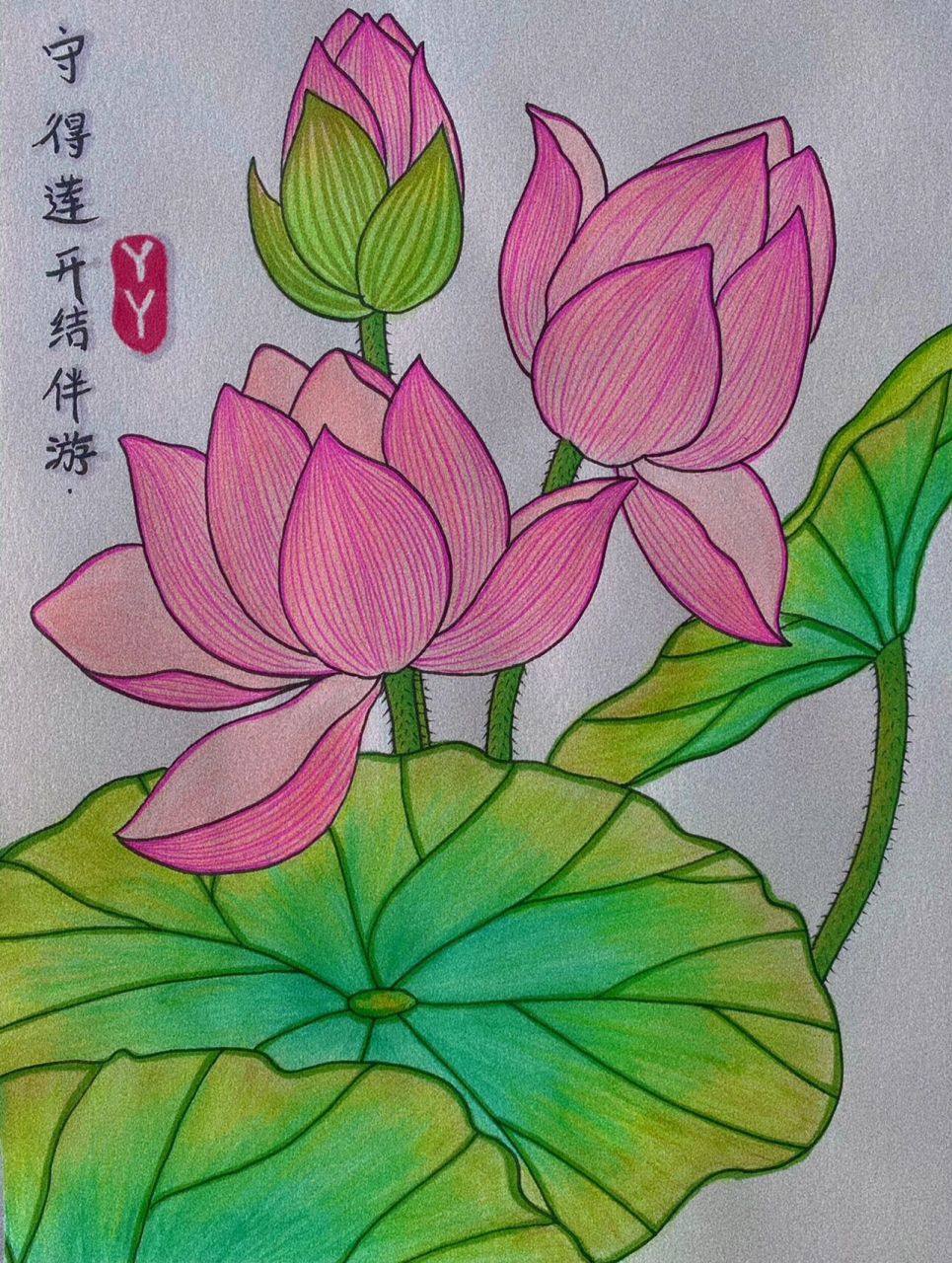 荷花图画 灼灼荷花端  亭亭出水中 	 天气越来越热,荷花季就要来啦