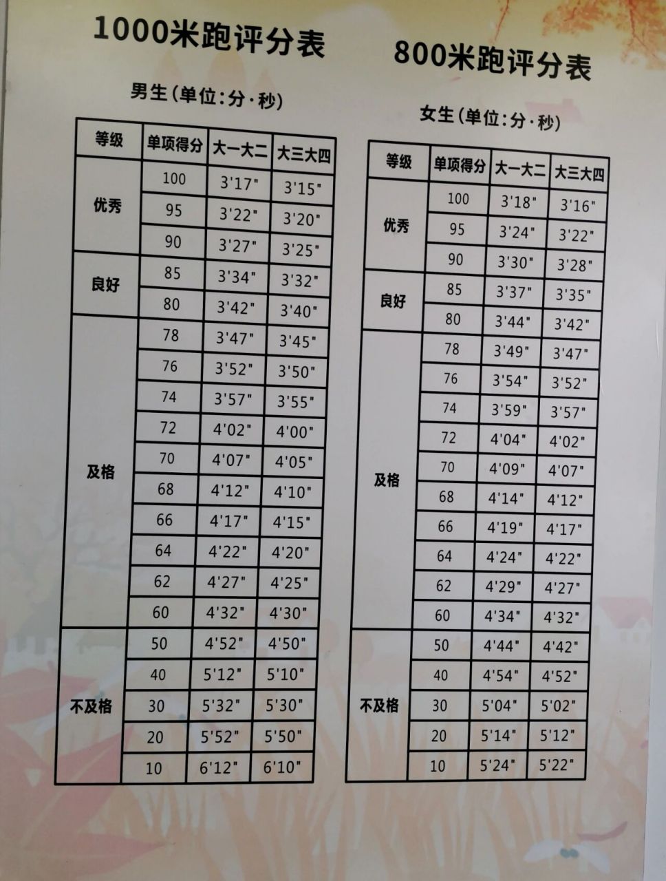 大学生体测表图片