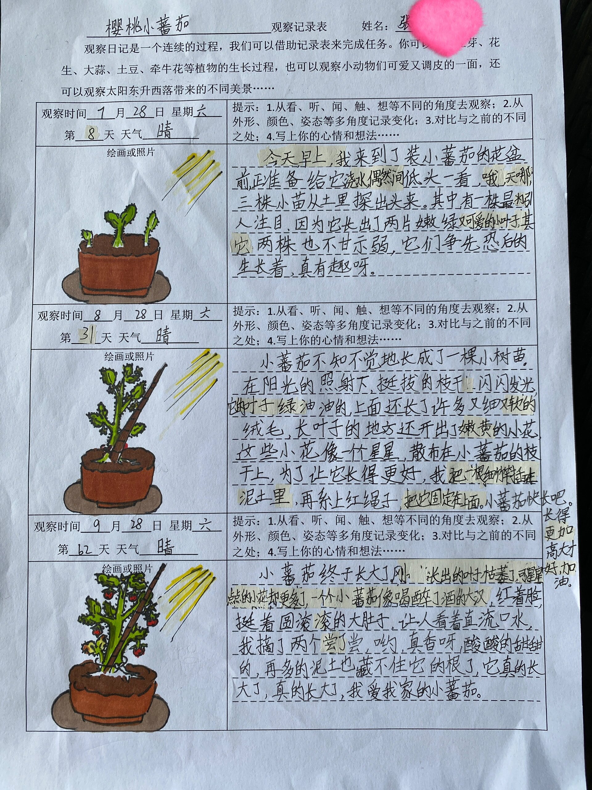 科学发现室观察记录表图片