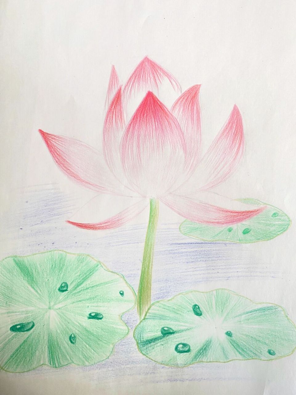 荷花彩铅 #彩铅# #彩铅手绘# #彩铅画