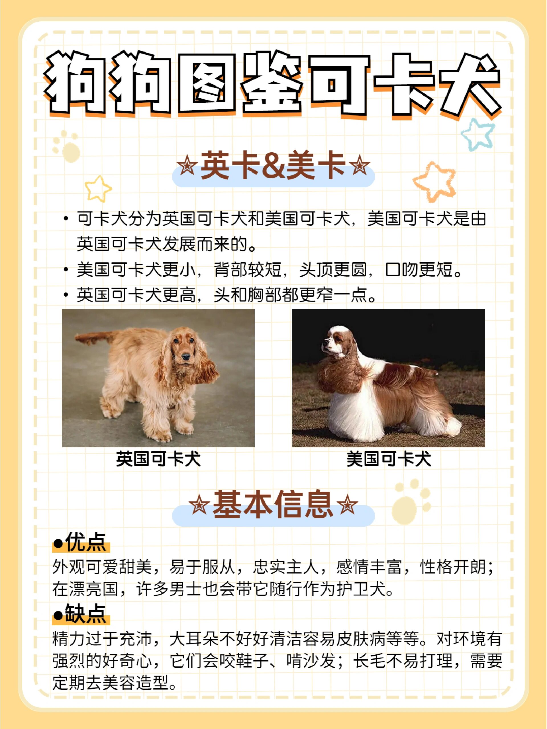 可卡犬图鉴96迪士尼在逃公主小狗