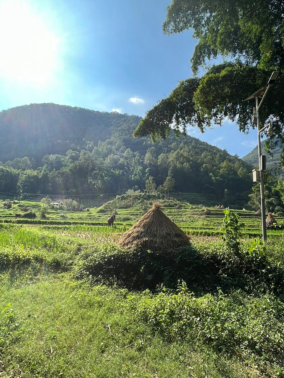 平塘到甲茶景区差不多40公里,自驾比较方便,景区不大,停车这些比较