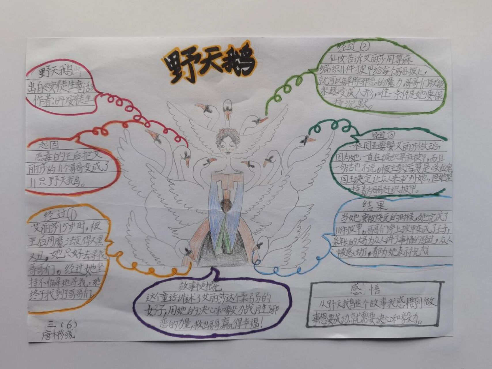 和孩子一起完成的安徒生童话故事《野天鹅》的思维导图,中间绘画部分