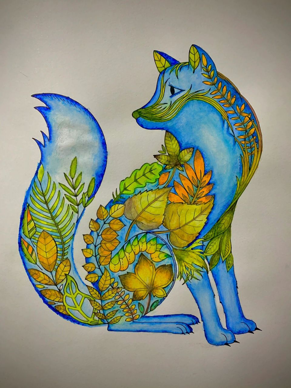 魔法森林之秘密花园2涂色 每次只有封在家里才会拿起画笔,眼睛快瞎了