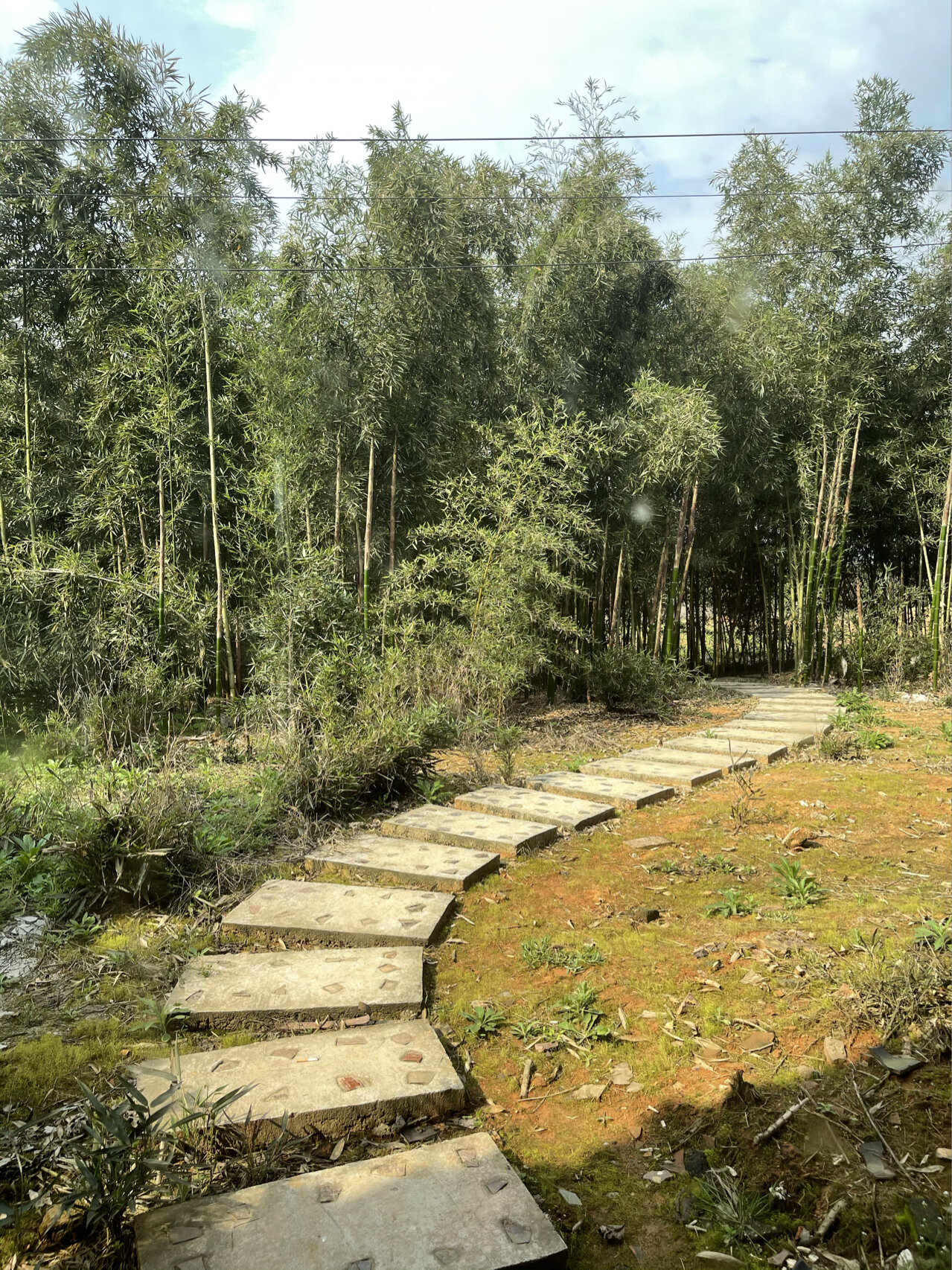 丰城桃花谷图片