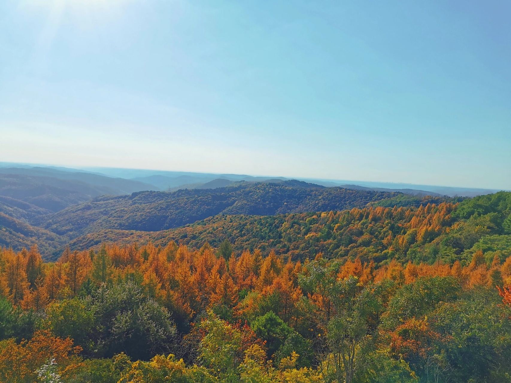 甘肃正宁子午岭 看层林尽染