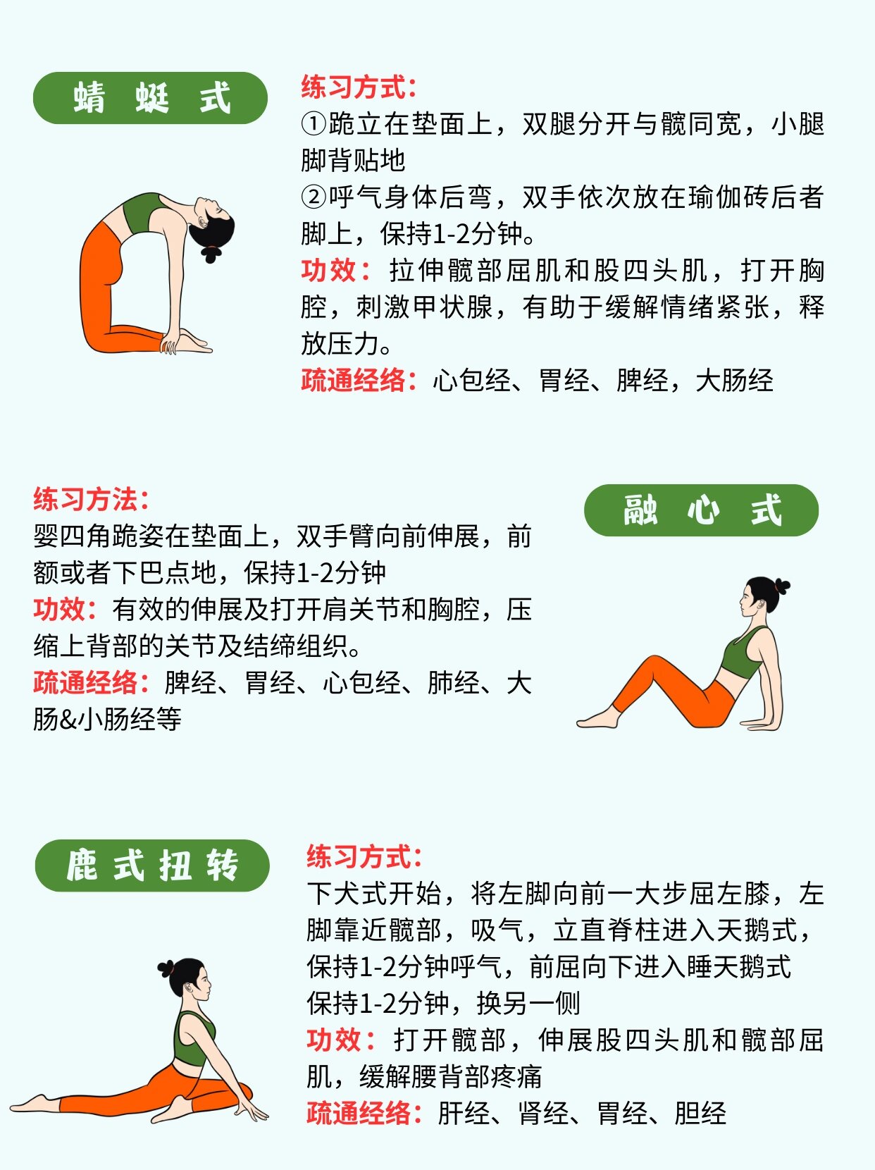 阴瑜伽24个体式9215附完整口令