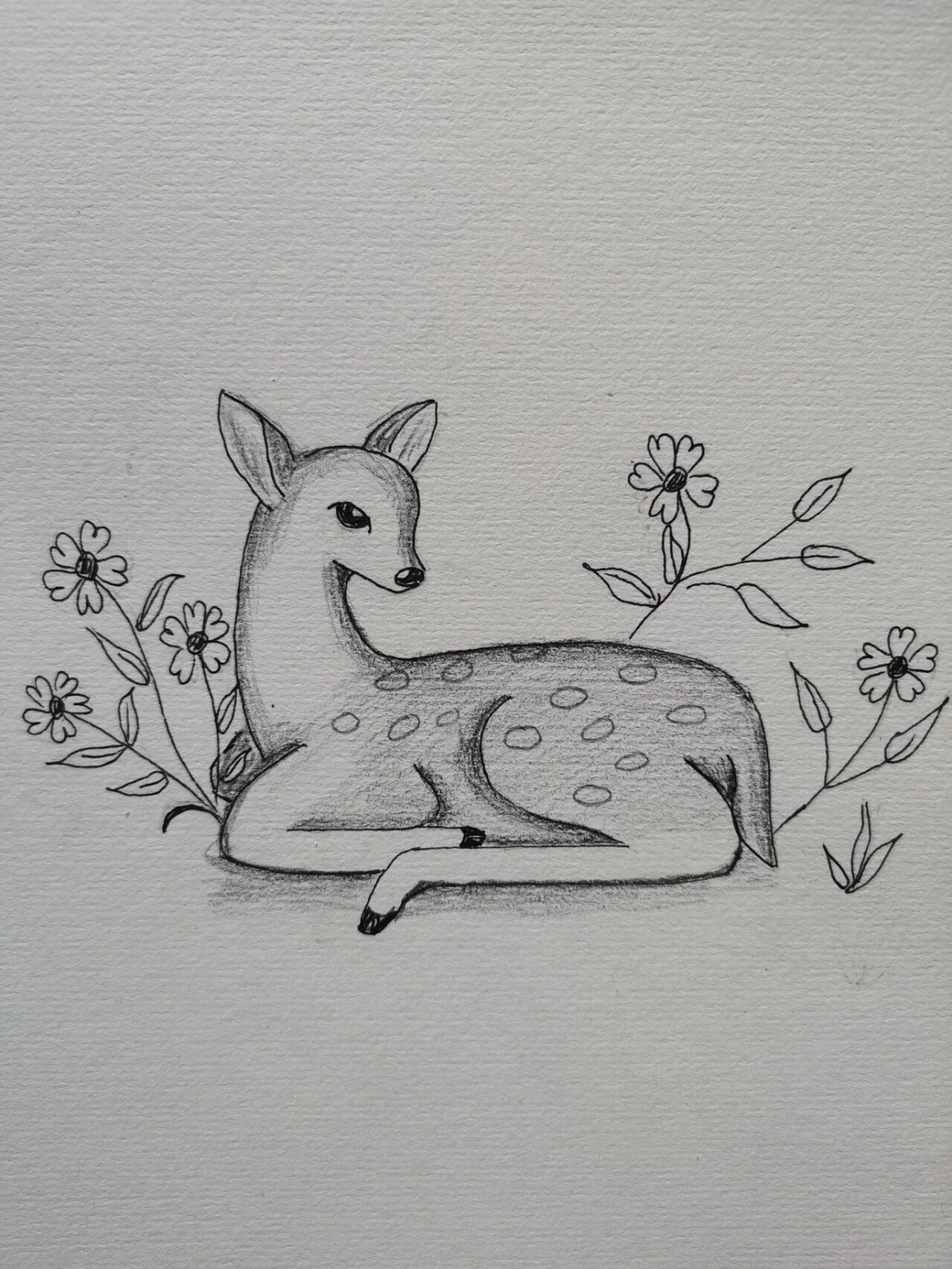 素描 一只小鹿