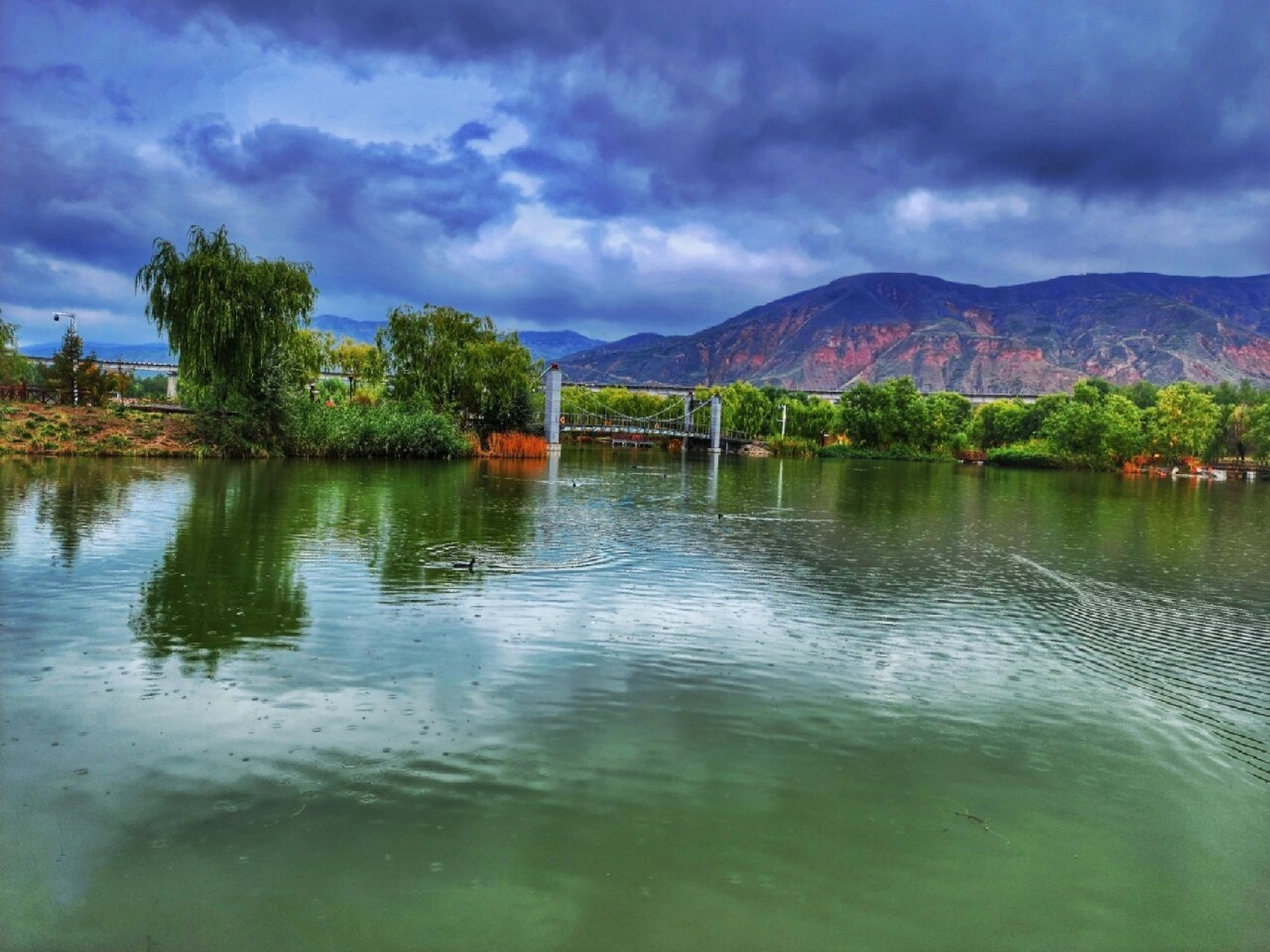 秋日的西宁北川河湿地公园 秋日的西宁北川河湿地公园,秋雨绵绵中的