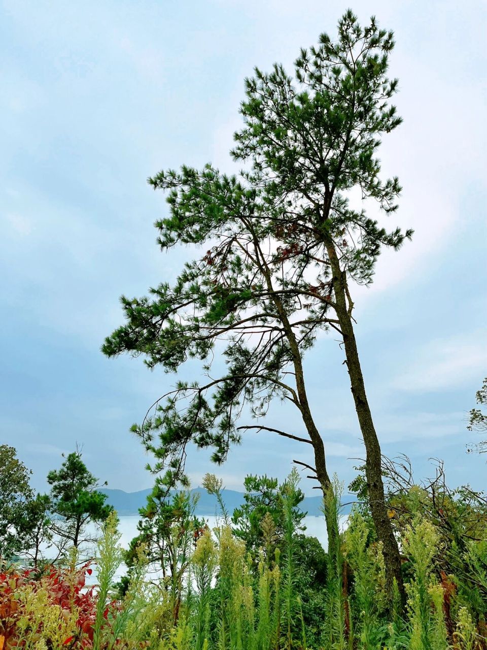 米堆山|苏州亲子徒步好去处 天气凉快了,久违的户外活动!