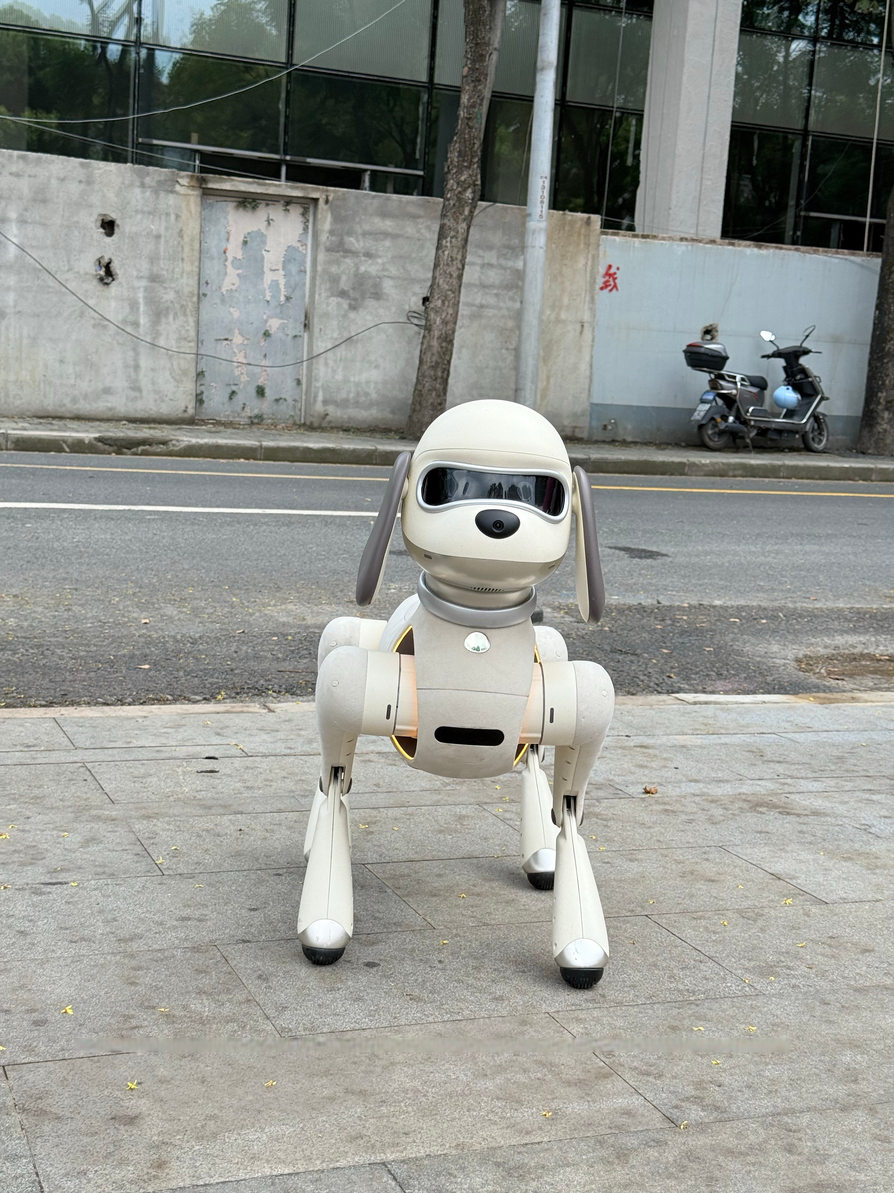 磁力狗官网最佳_磁力狗是什么东西 磁力狗官网最佳_磁力狗是什么东西（磁力狗 - 搜一搜,发现精彩世界） 磁力资讯