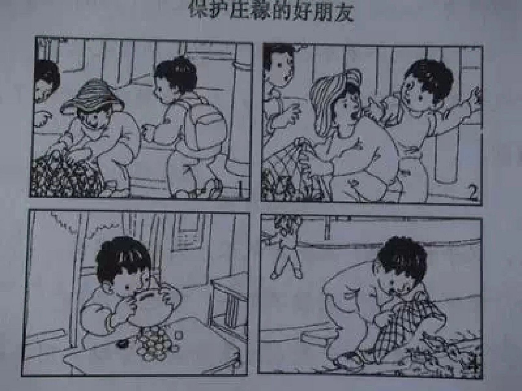 看图写话 保护庄稼的好朋友 放学了,小明蹦蹦跳跳地走在回家的小路上.