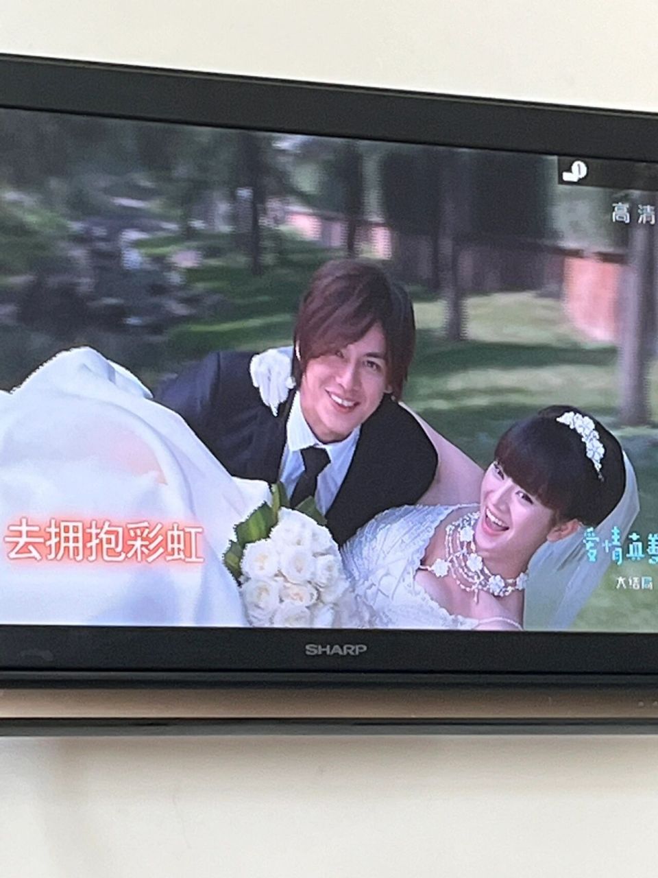 爱情真善美 大家喜欢哪对? 我喜欢严格和天美0606