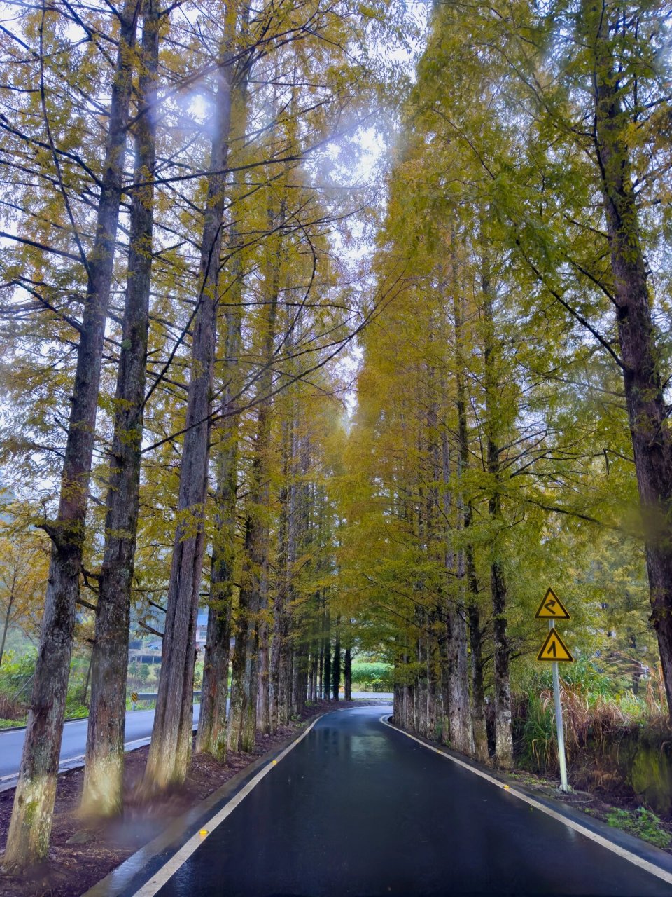 将乐龙栖山门票图片