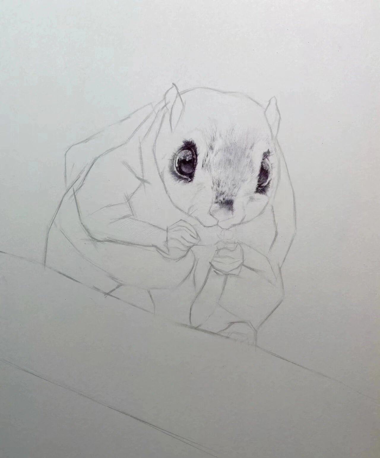 飞鼠全因素素描步骤示范画