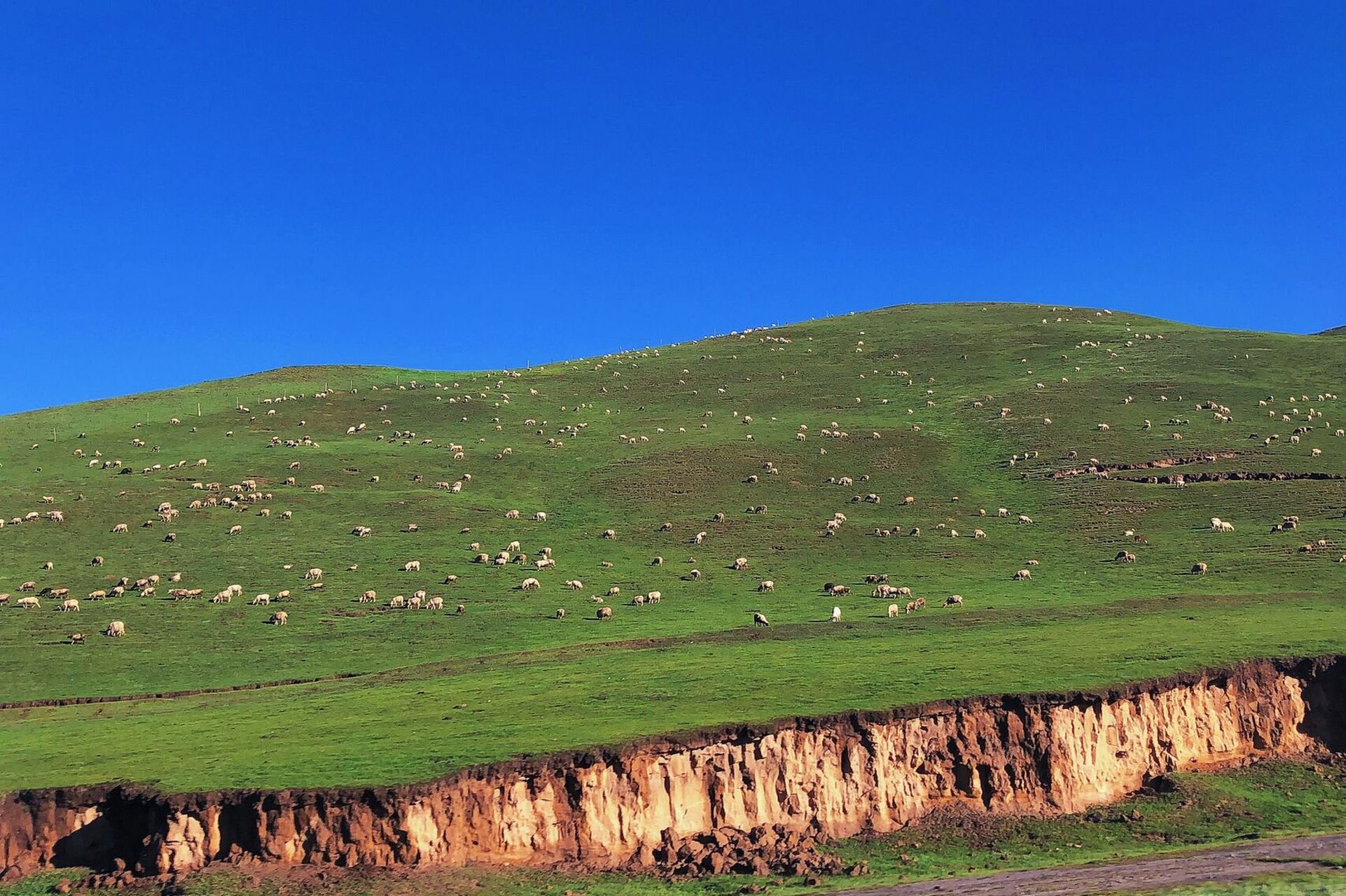 橡皮山|3800米上的人与自然 橡皮山其实就是从青海湖去茶卡镇路上的一