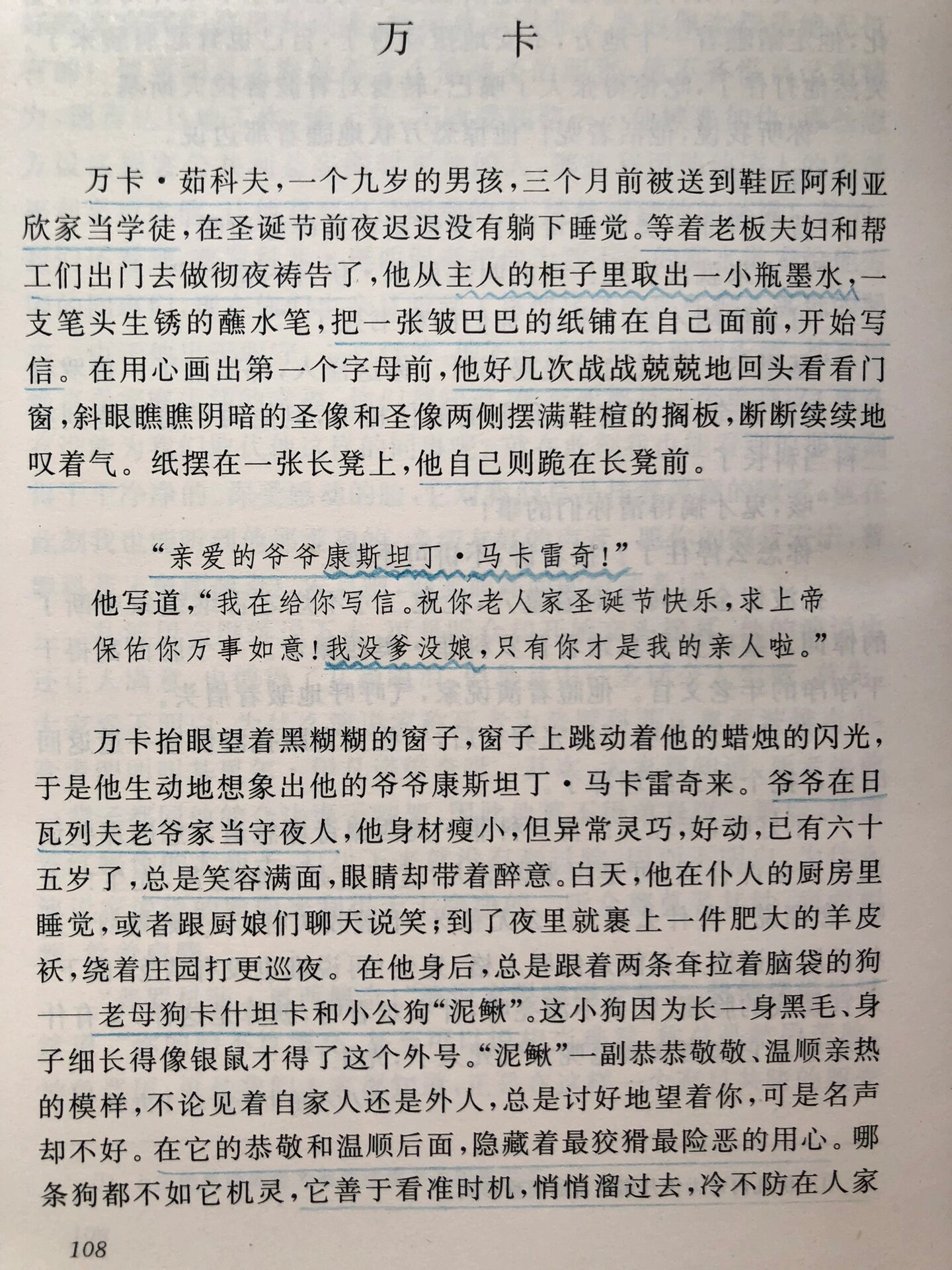 征服伊万卡的小说