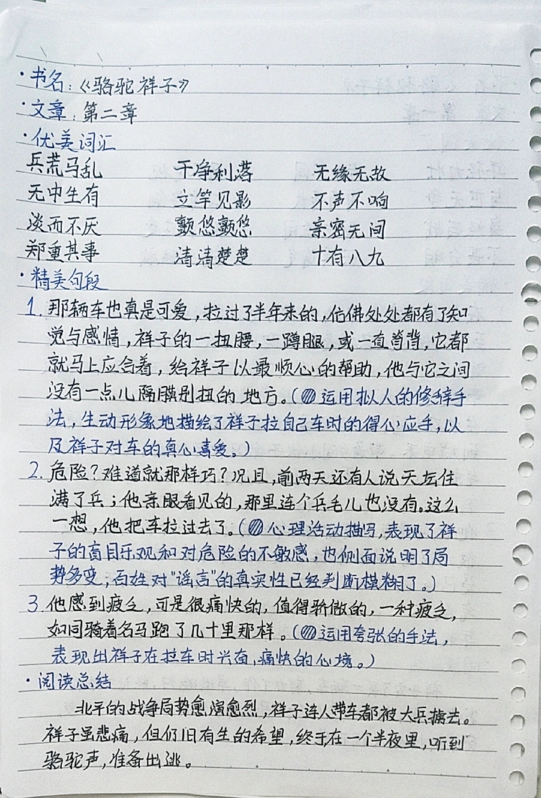 骆驼祥子读书笔记1-10章