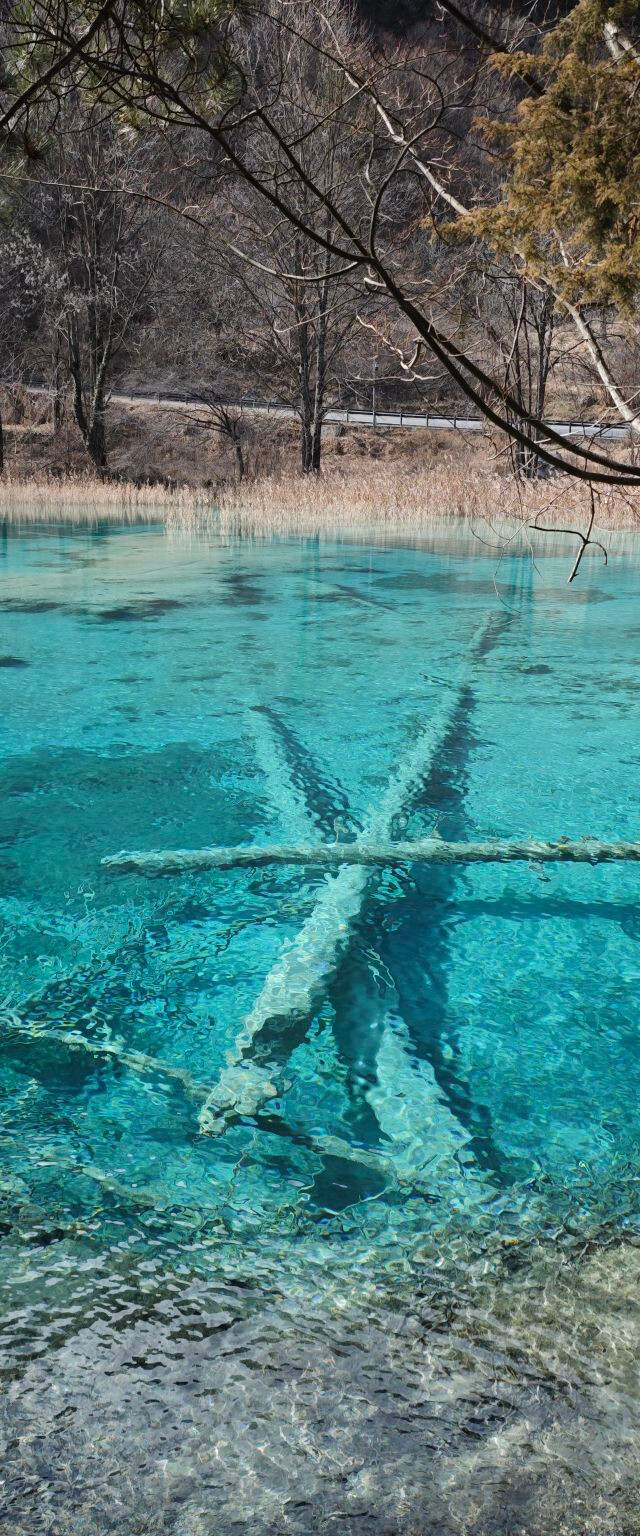 风景 冬天的九寨稍微有点单调