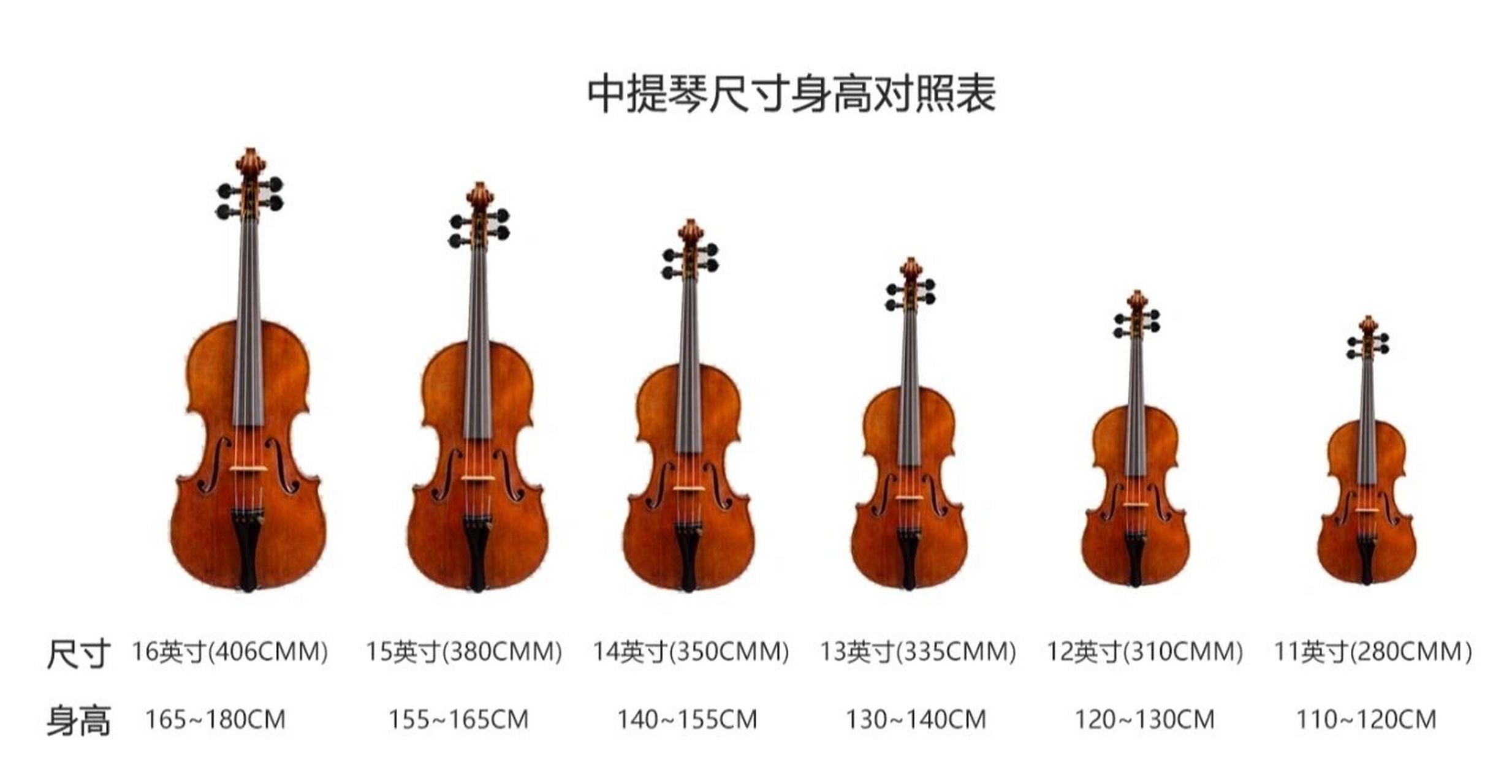 大提琴琴码左右高低图片