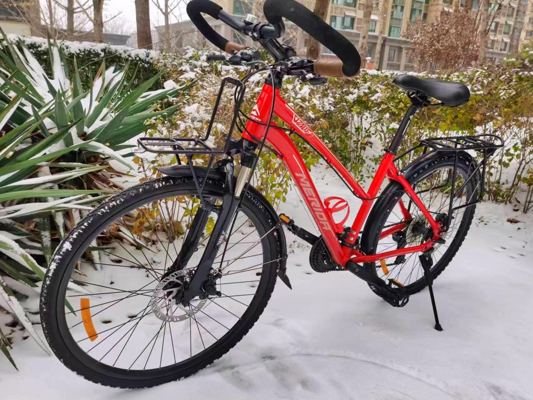 美利达野狼1.24速碟刹