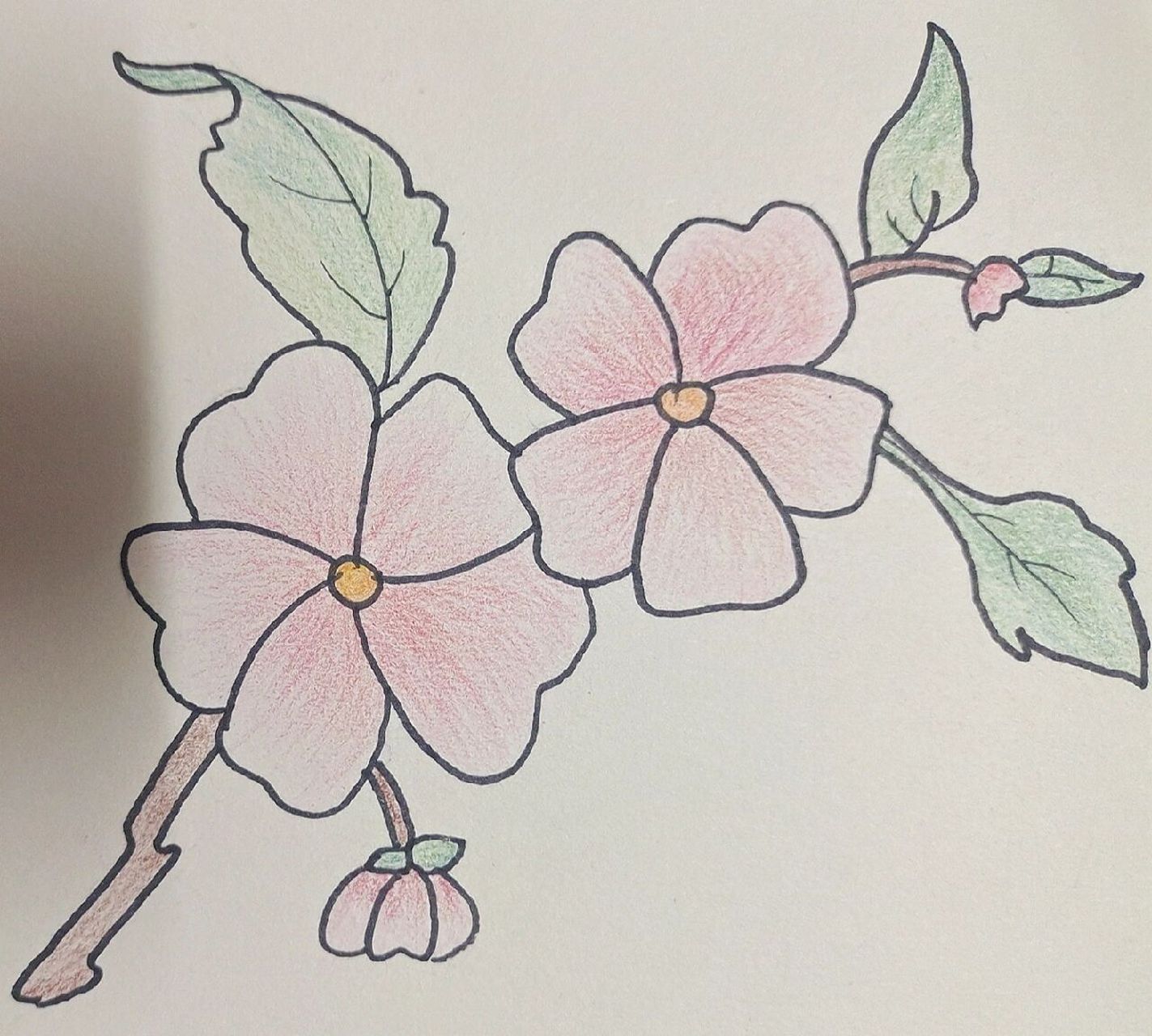 花朵简笔画 临摹.