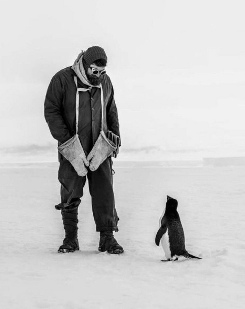 1914年8月8日,英国皇家南极探险队在队长沙克尔顿的带领下,乘坐"坚忍