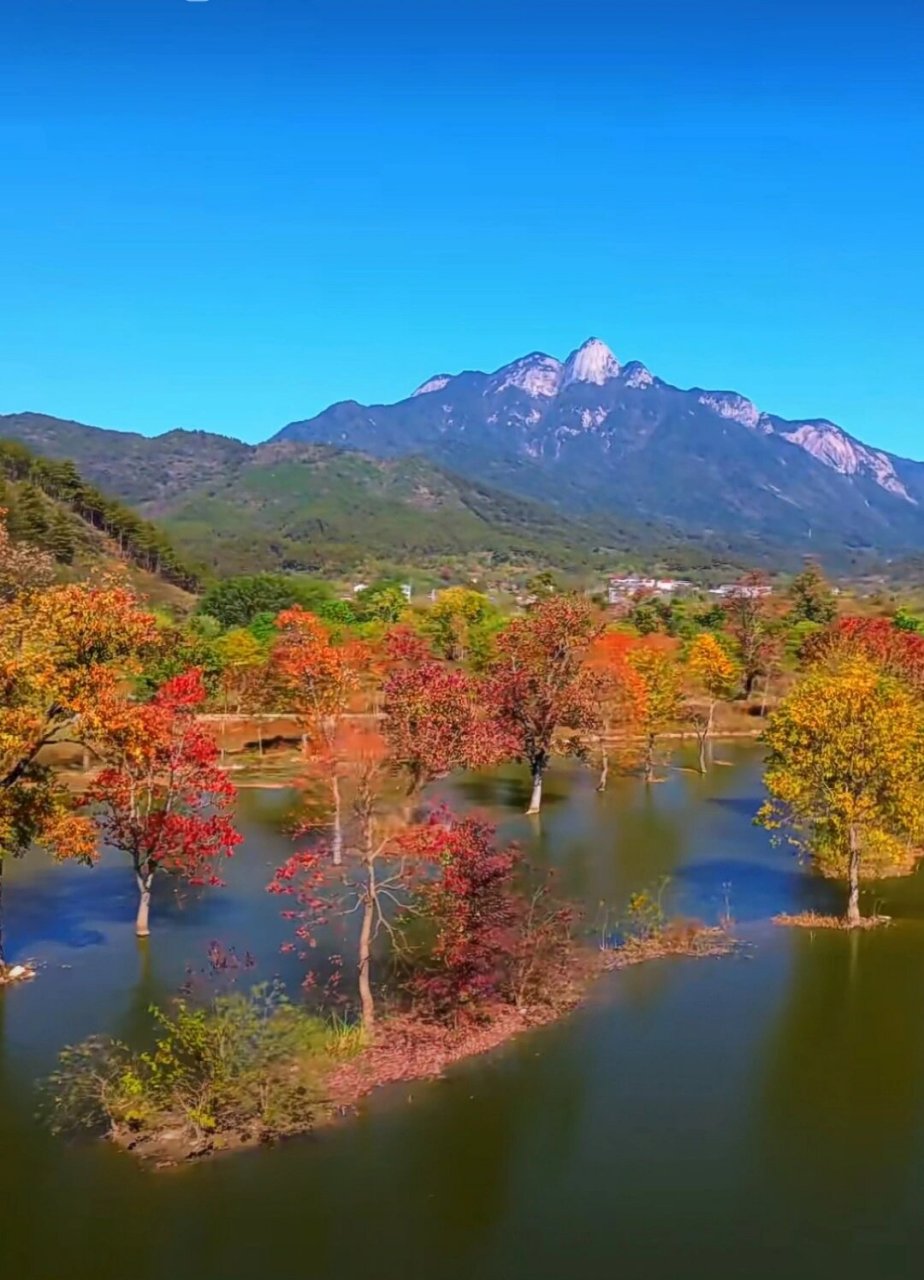 九资河秋色 湖北省黄岗市罗田县九资河圣人堂景区红叶#自然风光分享