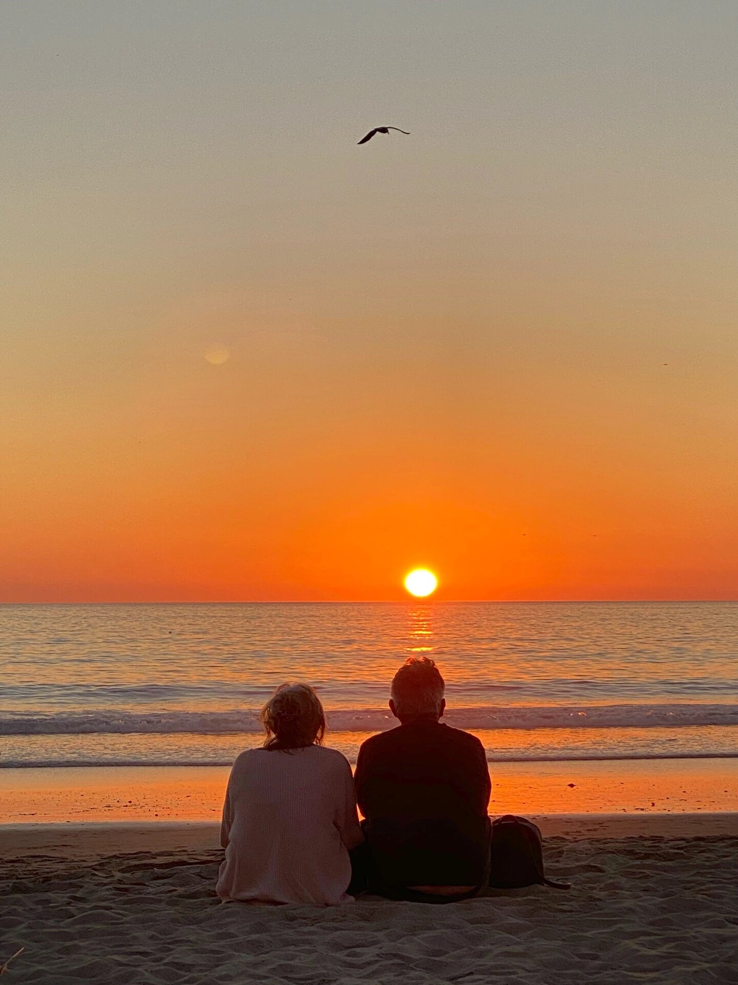 爱情的真实样子 一对老人就这样坐在海滩静静地看着日落,我悄悄的拍了