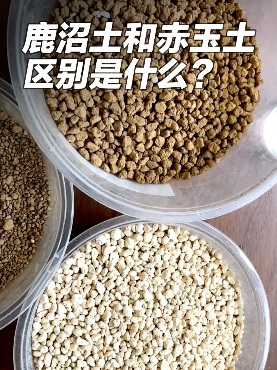 鹿沼土和赤玉土的区别.