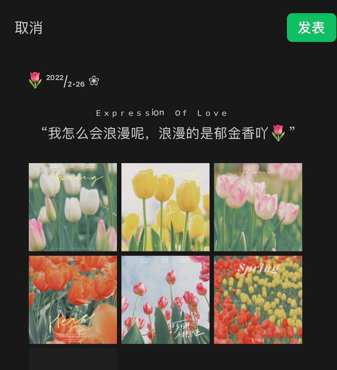 93郁金香93是春天最好的文案 | 朋友圈分享 9305620505