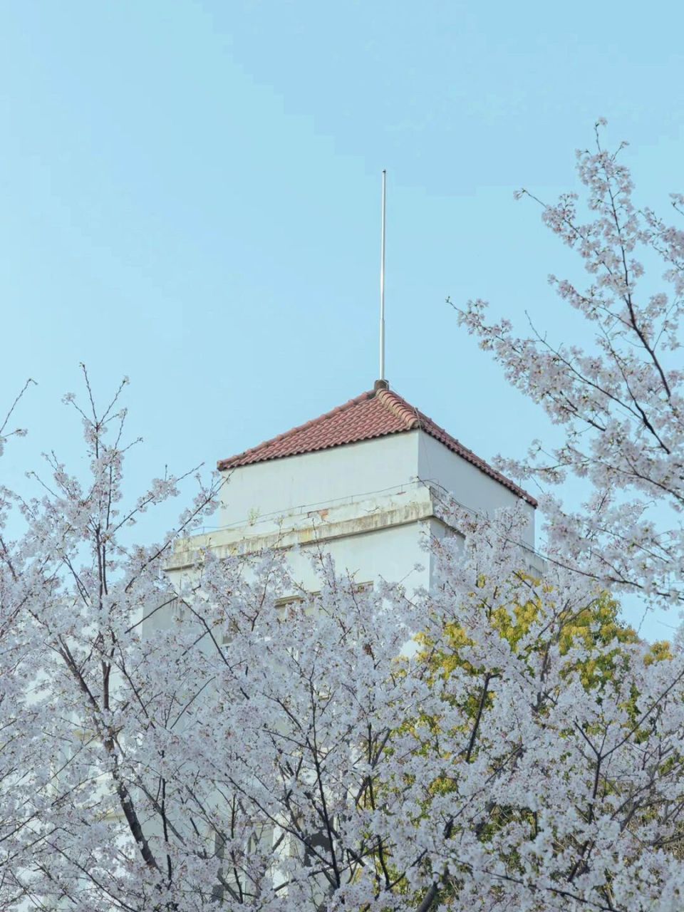 湖北第二师范学院～校园篇 镜头下的湖北第二师范学院,别有一番风味