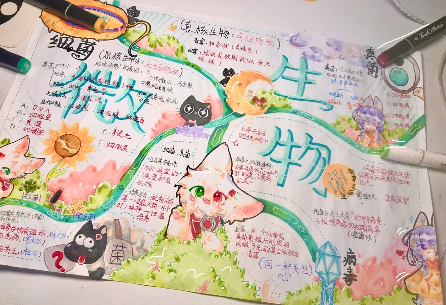 生物物理的手抄报91 科技节作品 最近一直在忙这个 然后这几天要开