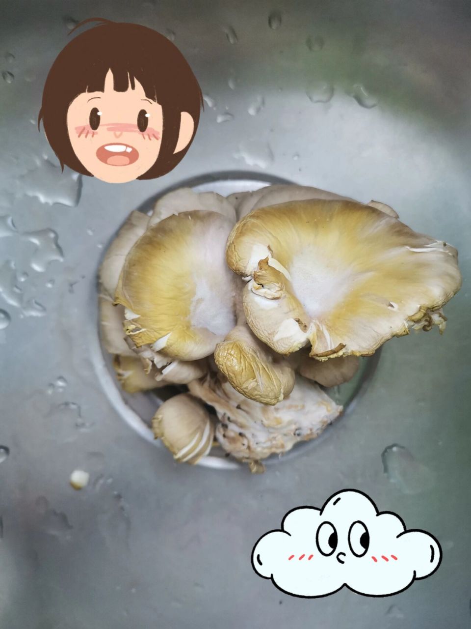 现在是否平菇也被毒养了?[失望]