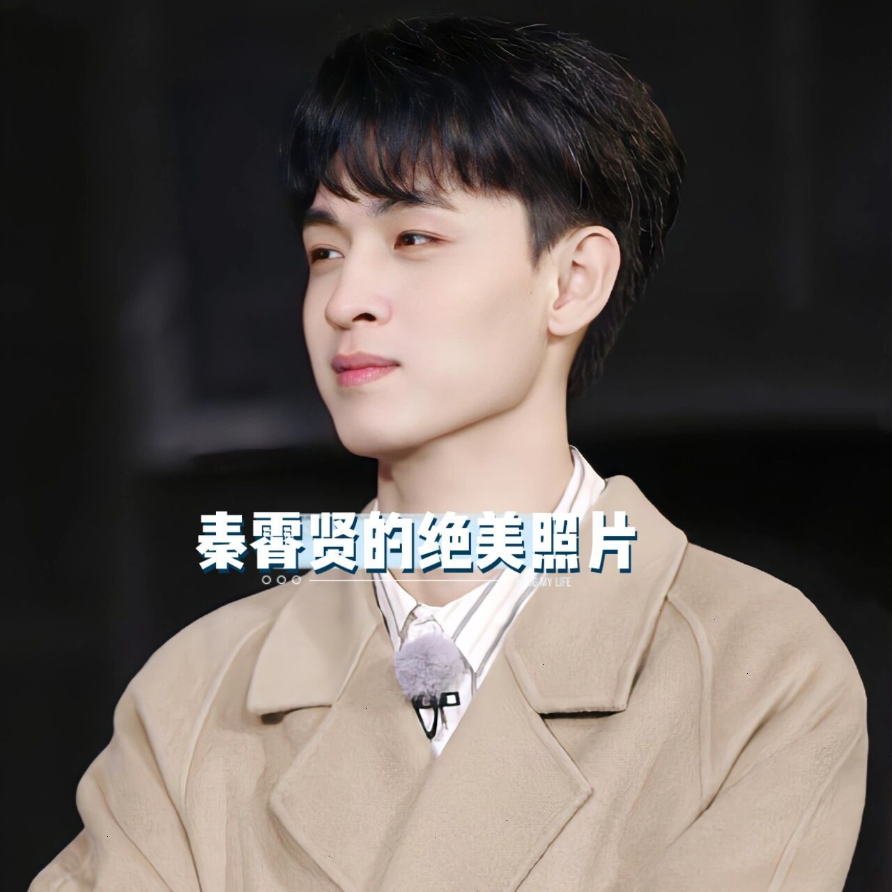 秦霄贤的绝美照片每一张都很好看