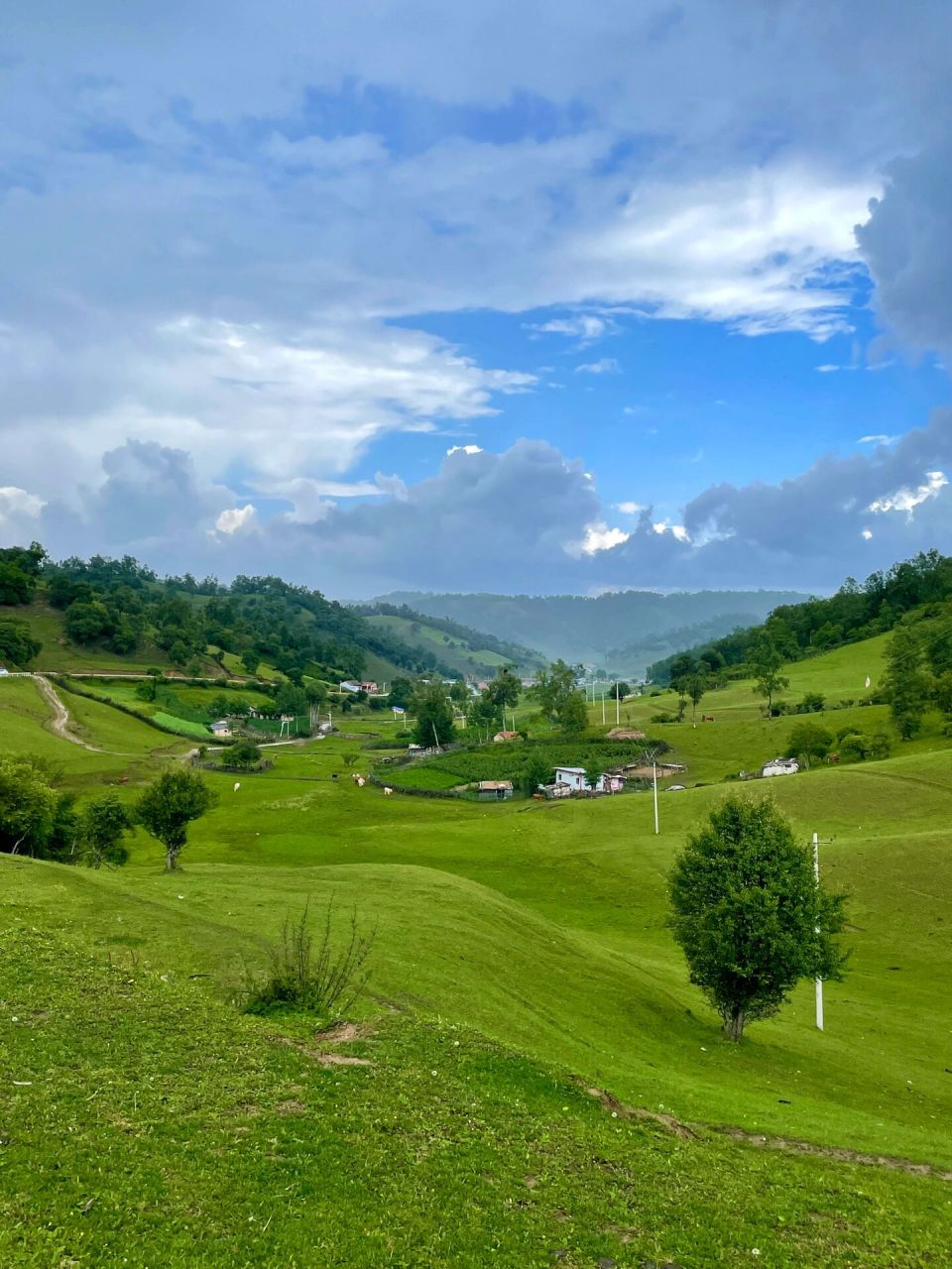 关山牧场两天一夜超省90攻略 宝鸡本地人掏心窝子告诉你关山牧场的