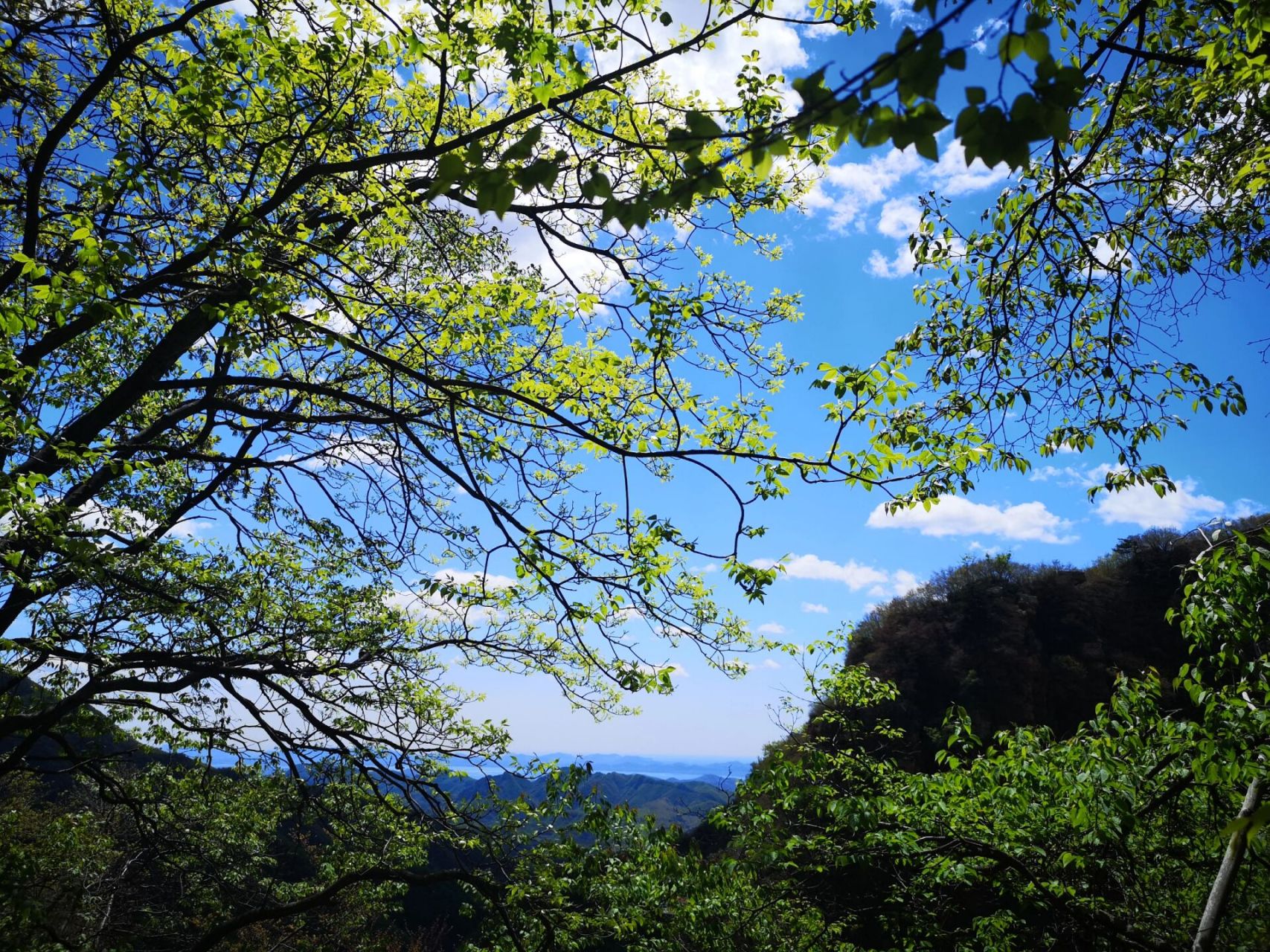 薊州九山頂一日遊攻略 五一去九山頂人不算很多,主打爬山自然風光