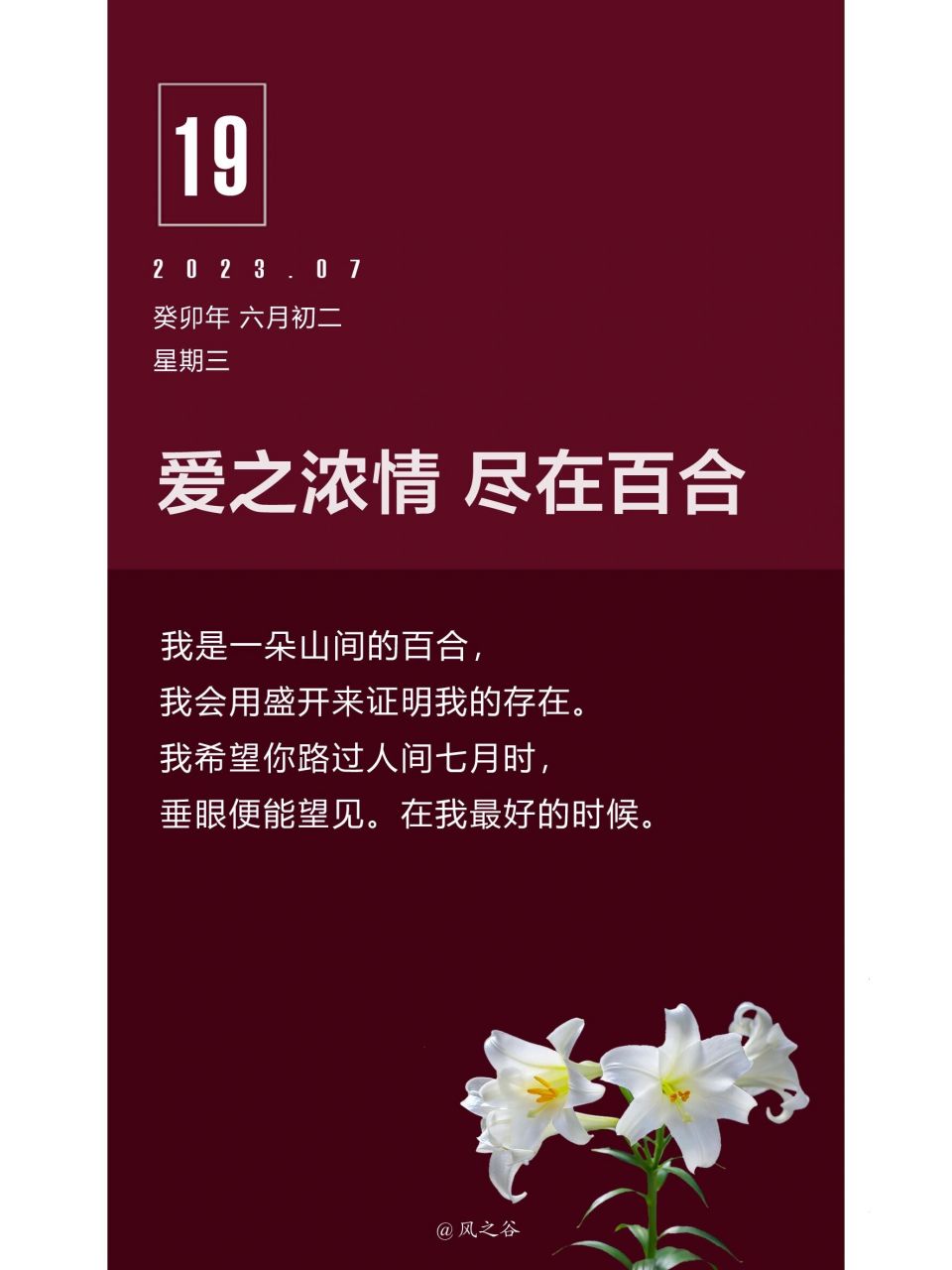 日历壁纸# #温暖治愈# #今日文案##花开# #百合花# #文字控# #每日