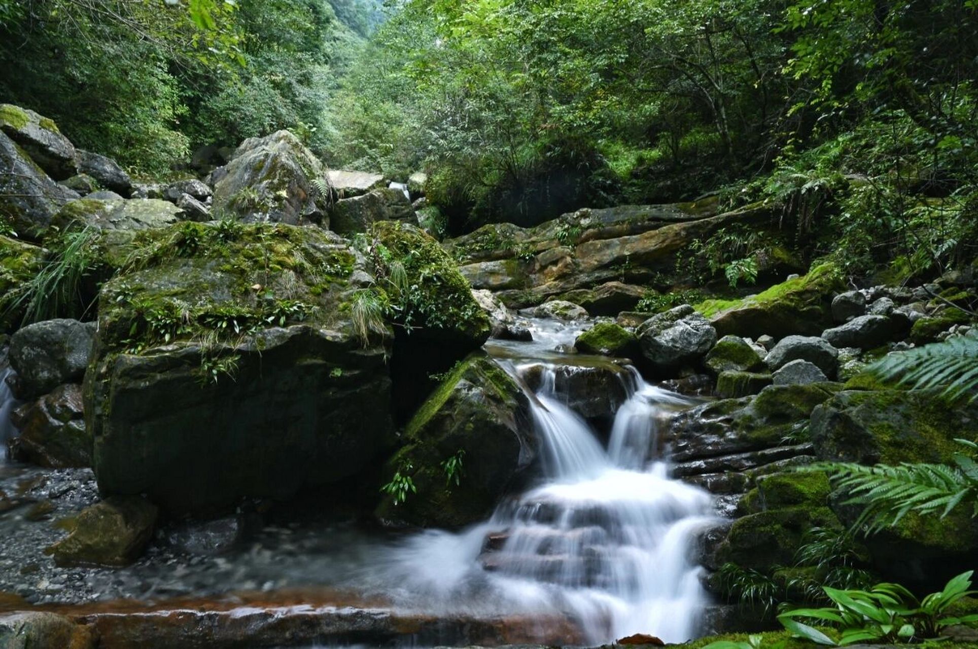 江油藏王寨老君山图片